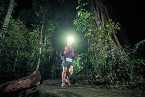 BIB: 
                            <button type="button" onclick="openModal(24808783)" class="btn btn-primary btn-sm float-right btn-popup" data-toggle="modal" data-target=".modal-high-quality">
                        <i class="fas fa-shopping-cart"></i> Add to Cart
                    </button>
                                            <button type="button" onclick="isThisMe(24808783, true)" class="btn btn-success btn-sm float-right btn-popup btn-isme hidden" data-toggle="tooltip" data-placement="bottom" title="นี่คือรูปของคุณใช่ไหม คลิกที่นี่เพื่อเอาเข้าอัลบั้ม">
                        <i class="fas fa-plus"></i> Add to album
                    </button>
                    <button type="button" onclick="isThisMe(24808783, false)" class="btn btn-warning btn-sm float-right btn-popup btn-isnotme hidden">
                        <i class="fas fa-ban"></i> Remove from album
                    </button>